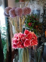/album/galleria-foto-bouquet/a2011-10-13-10-45-19-jpg/